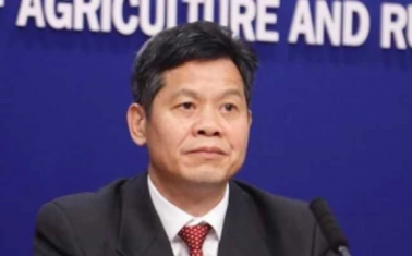 中央財政投入70億元支持農(nóng)村廁所革命 各項任務穩(wěn)步推進